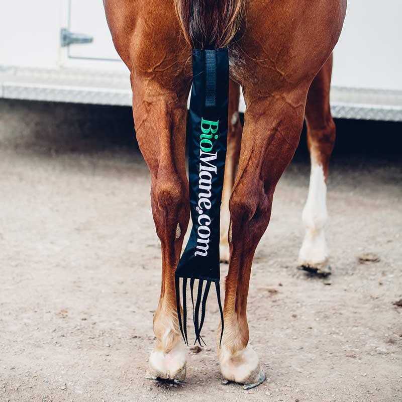 Horse Tail Bag V8584