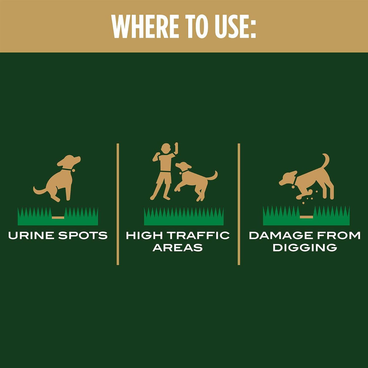 Dog Spot Repair G296