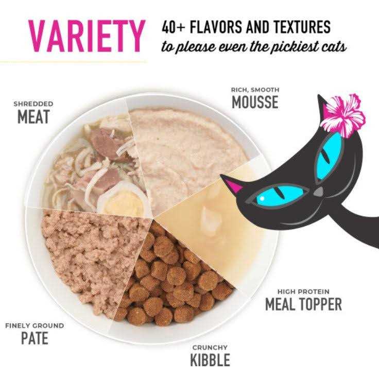 Salmon Wet Food M57190