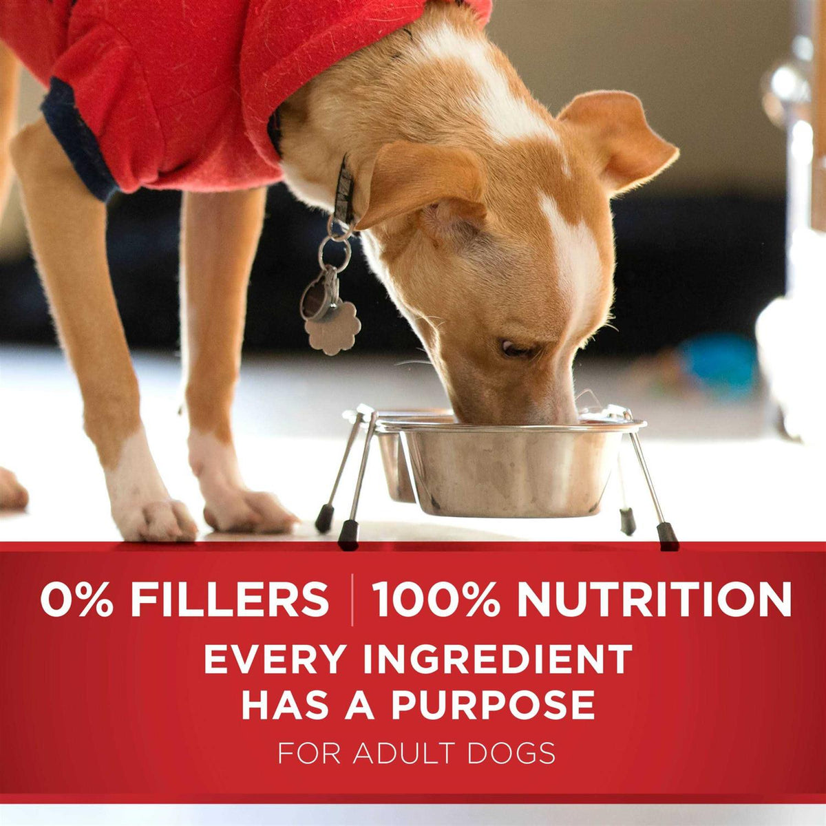 Beef & Rice Dry Dog Food W5132