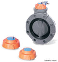 8x22 Butterfly Valve Cap with 316SS Lock Tab B485