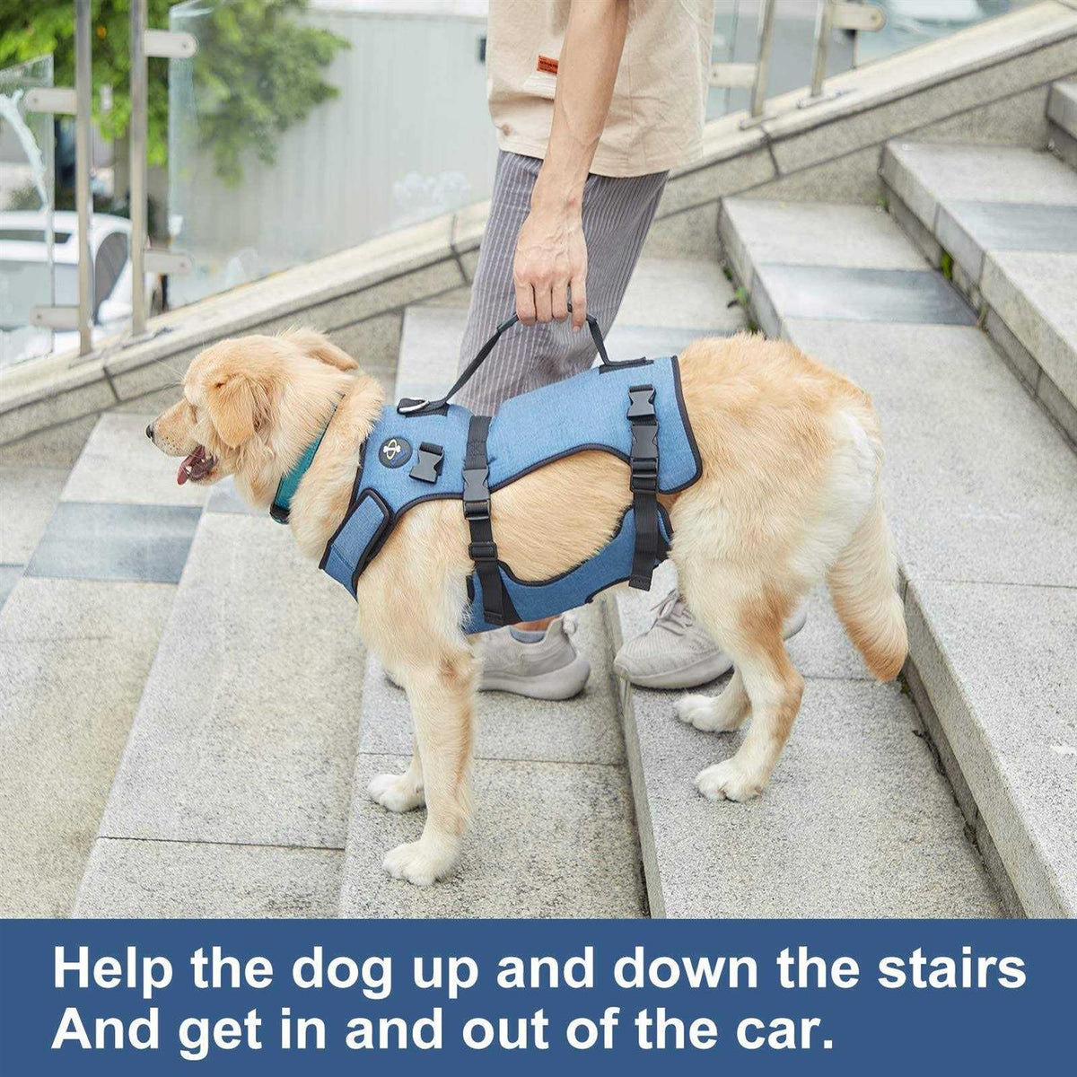 Adjustable Breathable Dog Lift Harness D472770