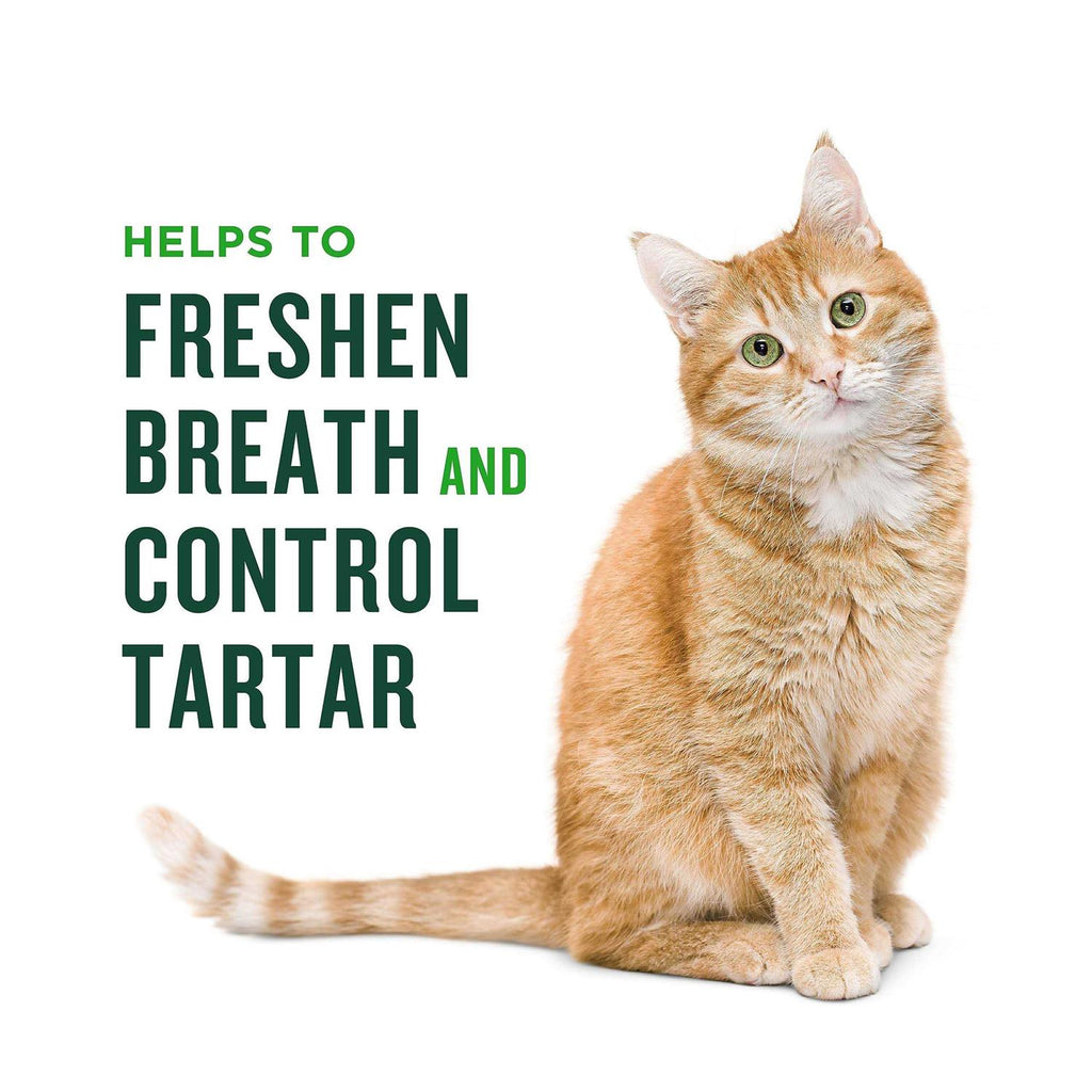 Minties Dental Treats for Cats V871