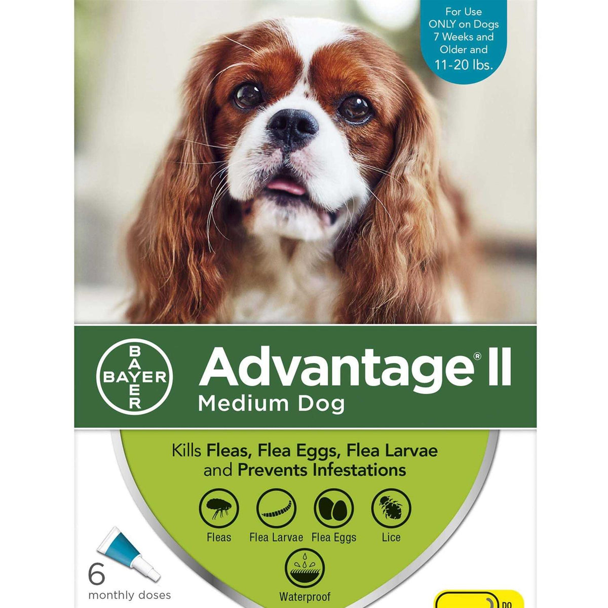 Advantage II for Dogs O980681
