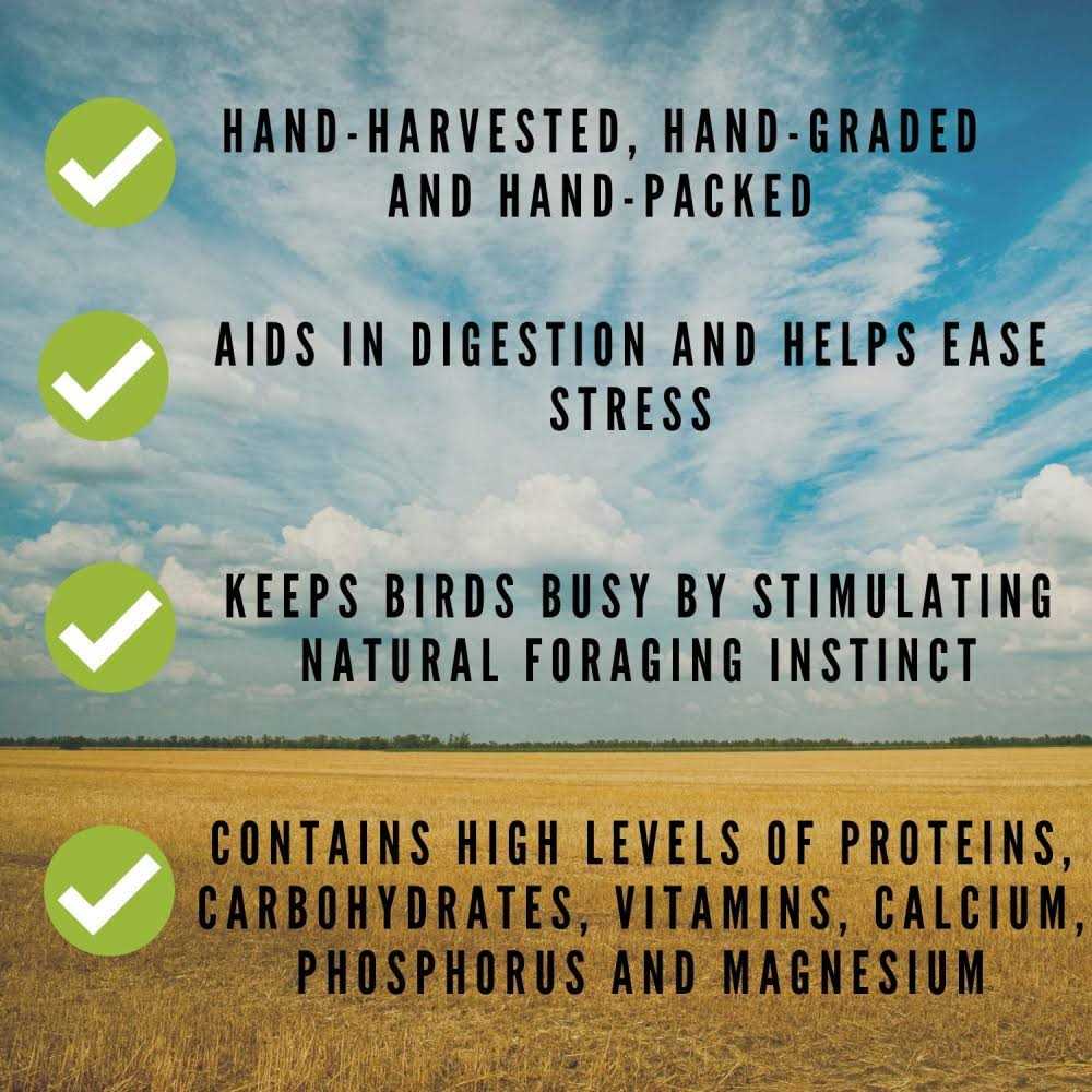 Sun-Dried Non-GMO Pesticide Free D213244