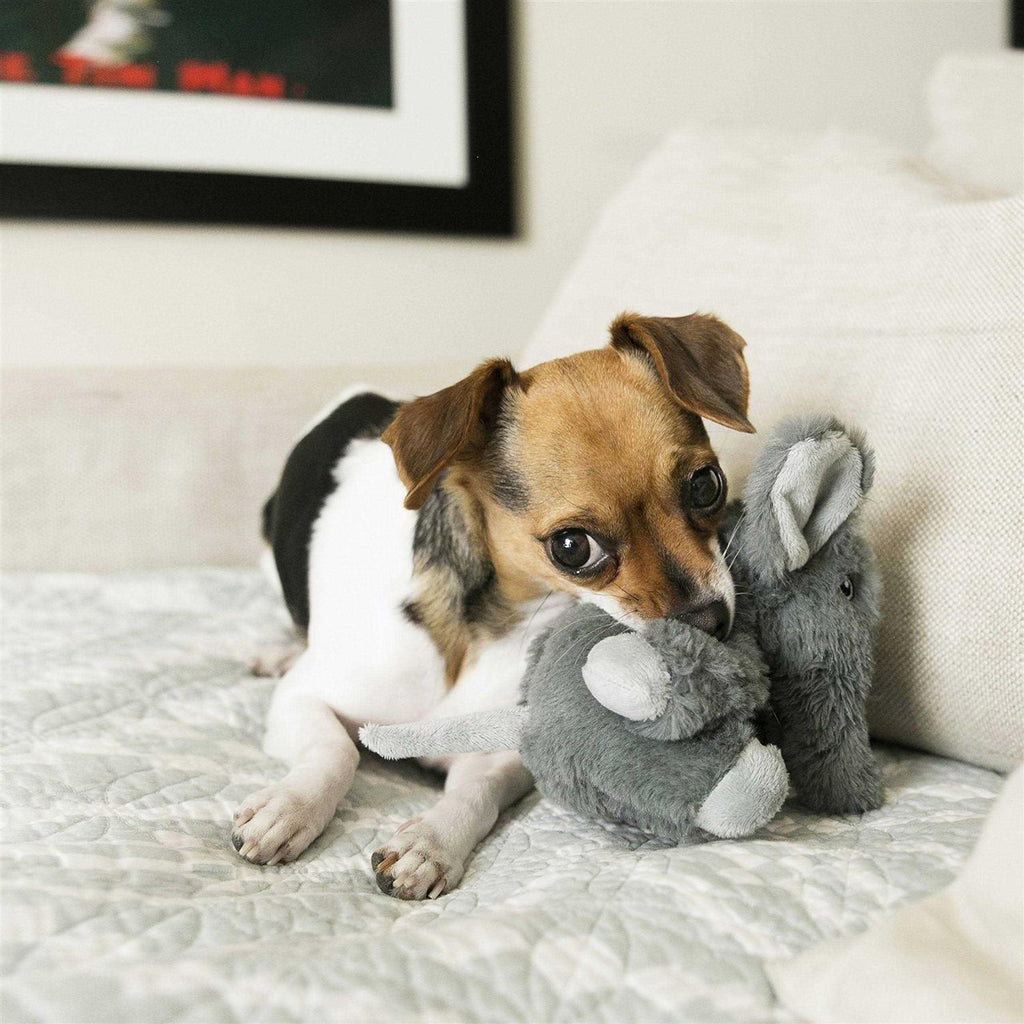 Elephant Dog Toy R9697