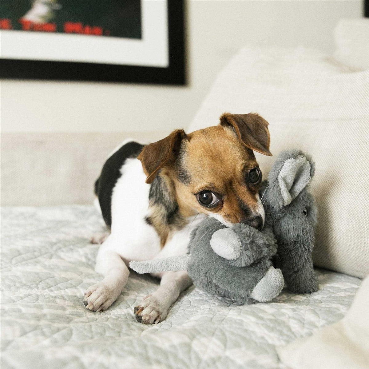 Elephant Dog Toy R9697
