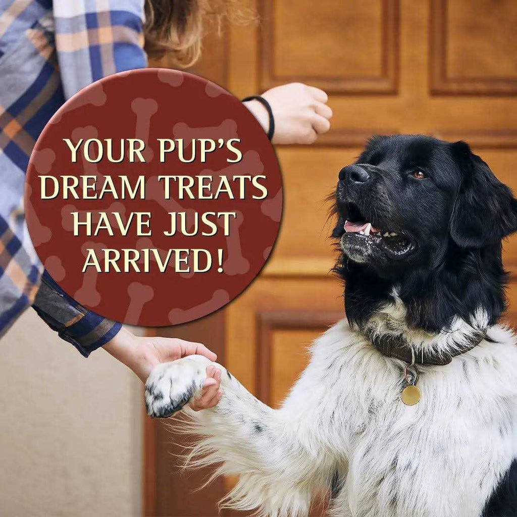 Soft Moist Dog Treats X677302
