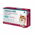 6 Month Supply Dog Flea and Tick Treatment M63150
