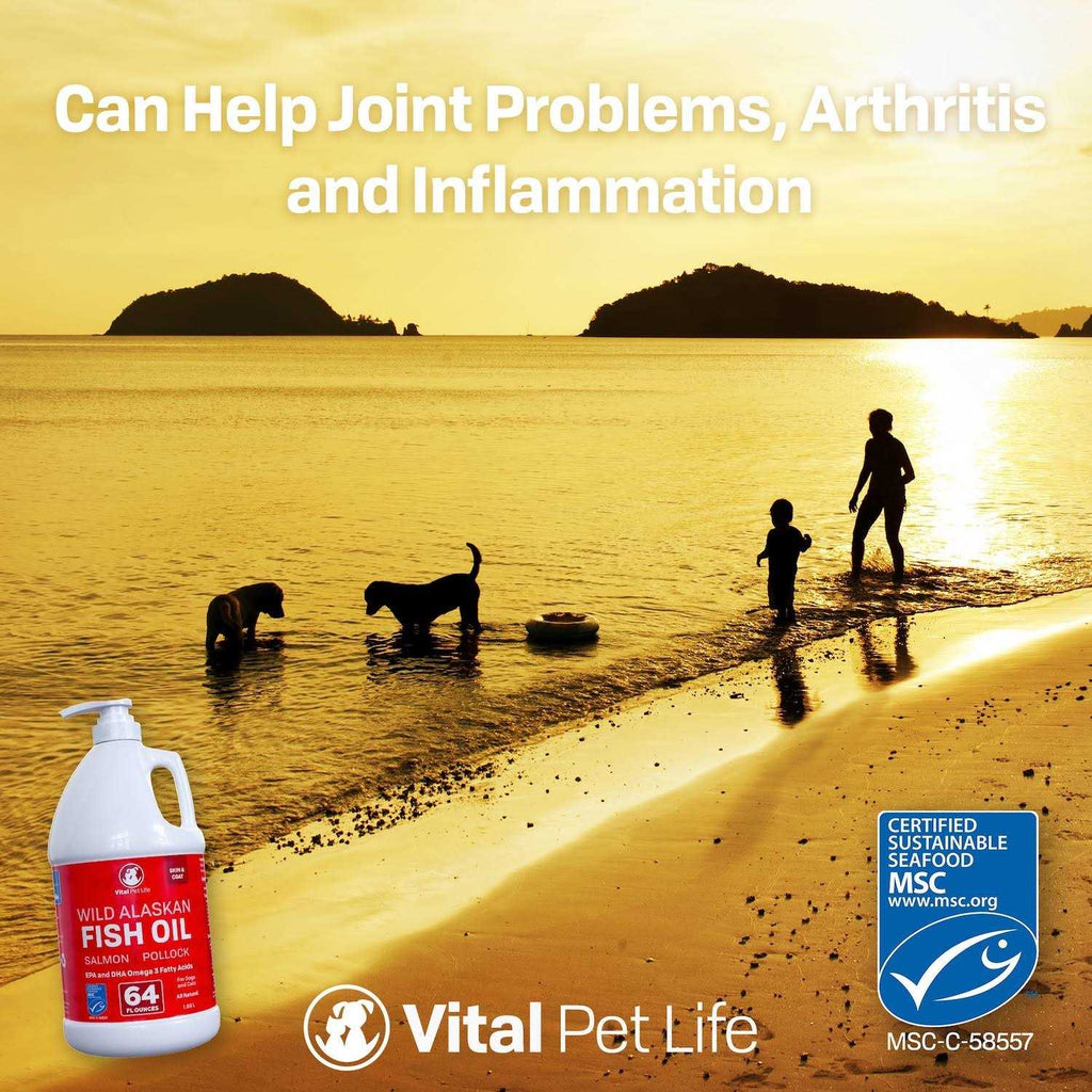 Fish Oil for Dogs Z84643