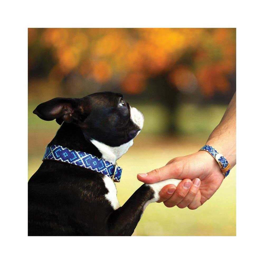 Dog Collar with Friendship Bracelet L7002
