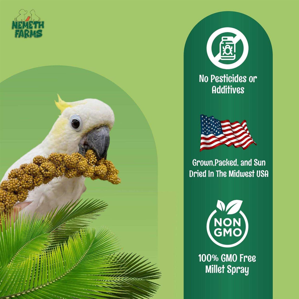 Sun-Dried Non-GMO Pesticide Free D213244