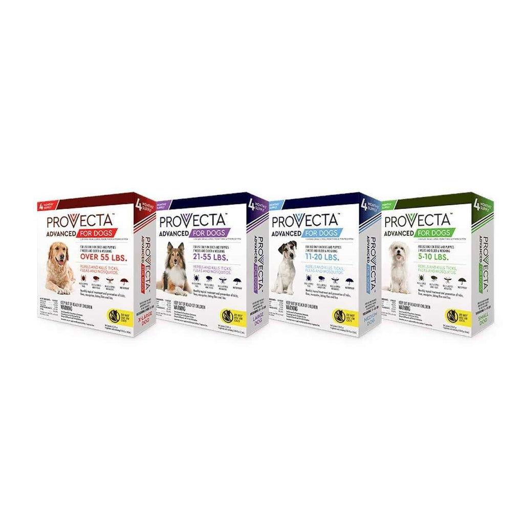 Advanced for Dogs G894799