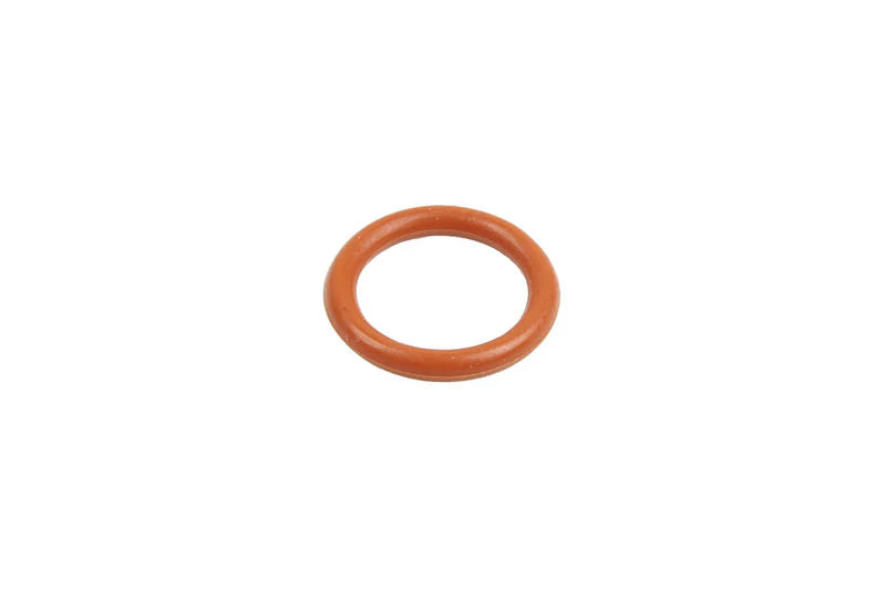O-ring Z855