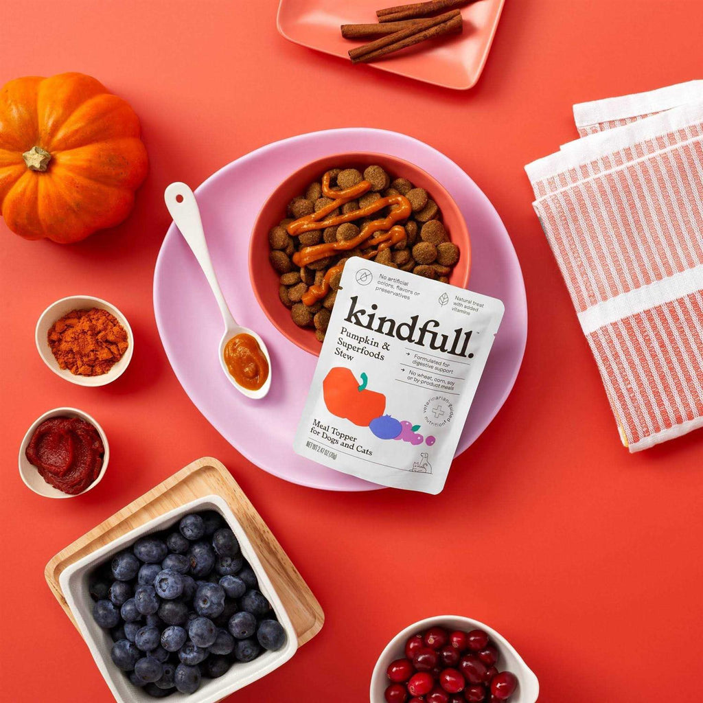 Pumpkin & Superfood Puree Dog Treat G51709