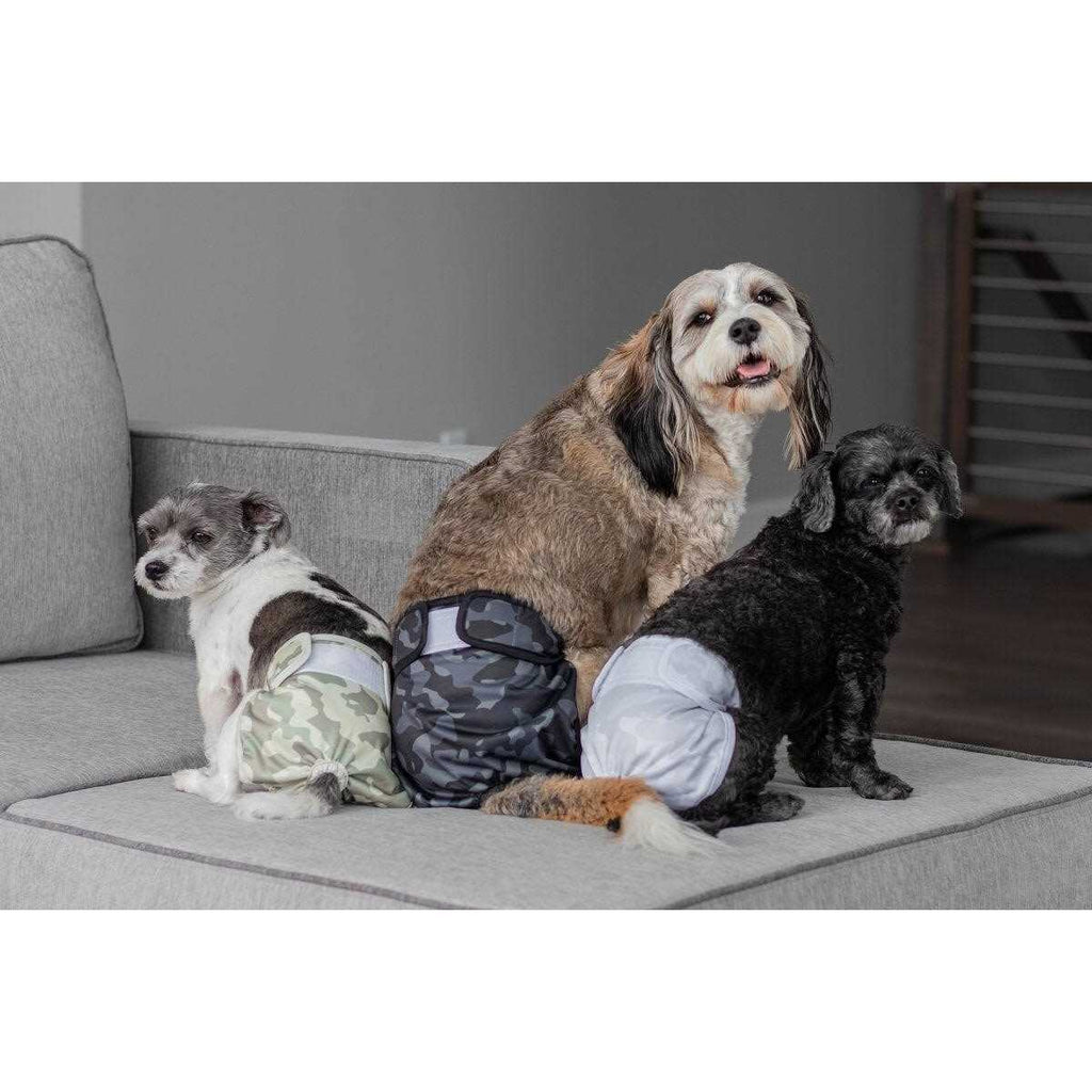 Washable Dog Diapers D31324