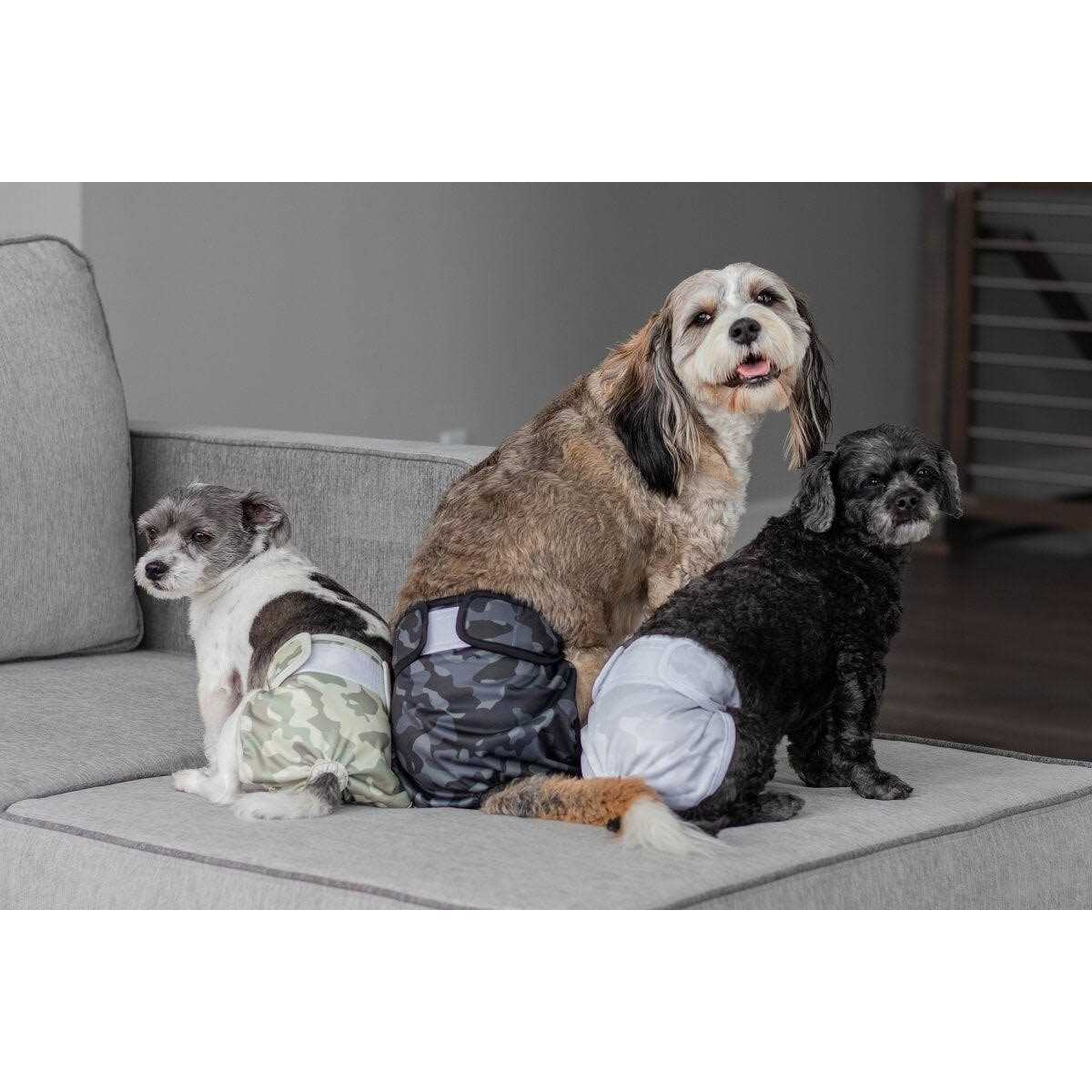 Washable Dog Diapers D31324