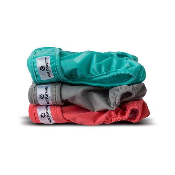 Washable Dog Diapers D31324