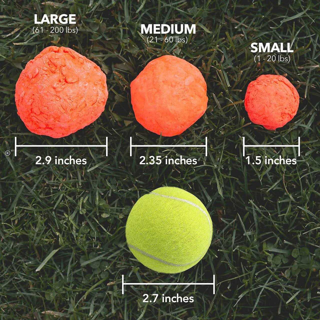 Dog Toy E7029