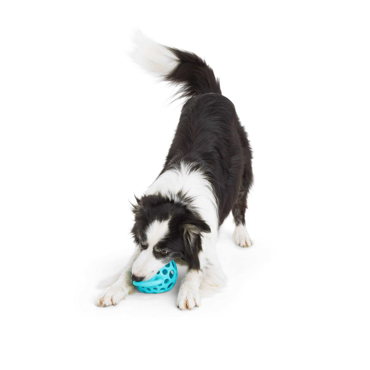 Cage Ball with Handle Dog Toy C794