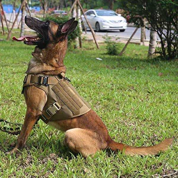 2X Metal Buckle Dog Harness with Handle W370851
