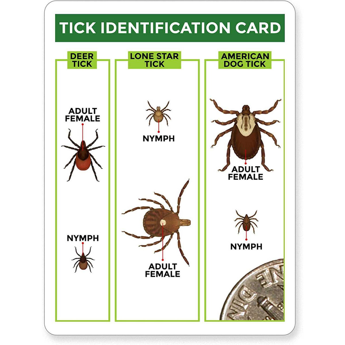 3 Pack Tick Remover Tools + Tick Identification Card C2081