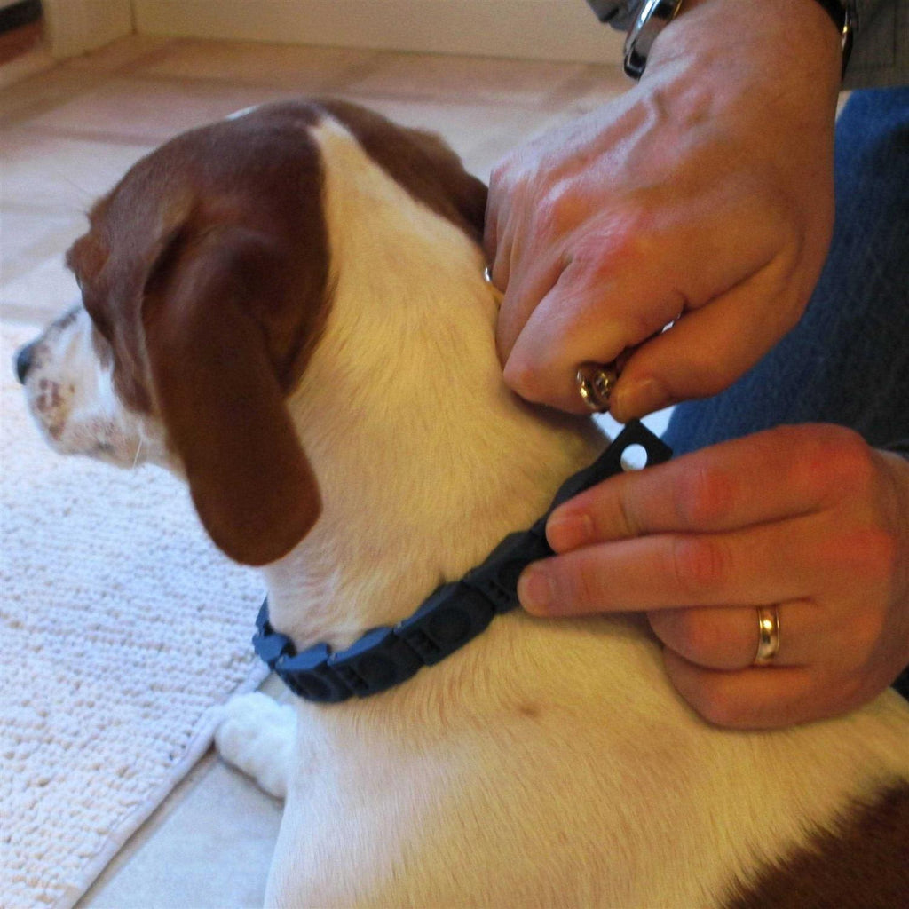 Dog Training Collar Medium Large V6658