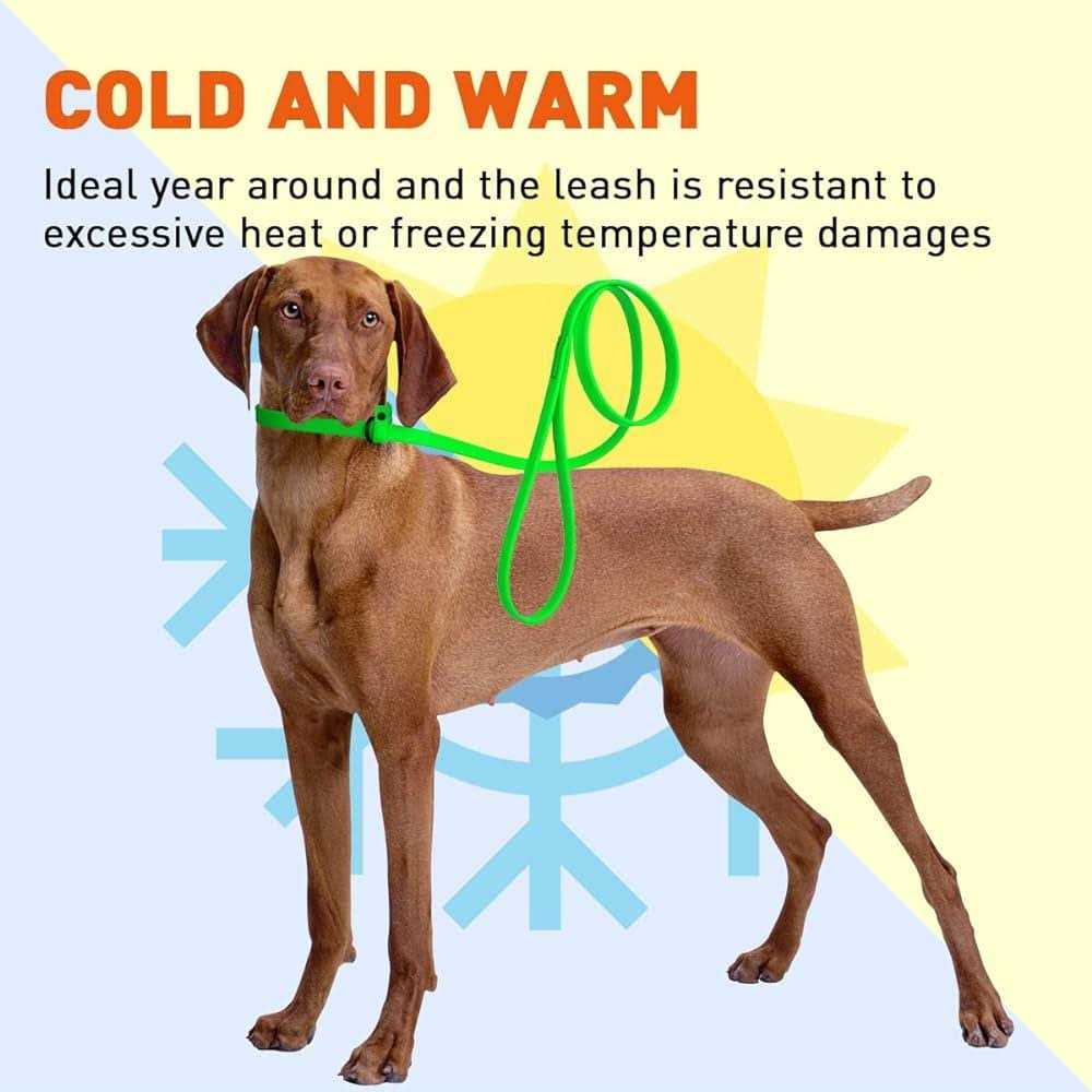 Biothane Slip Dog Leash P855153
