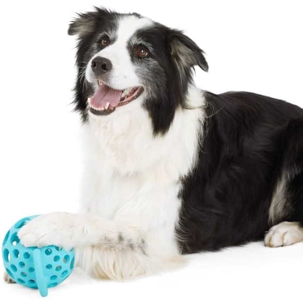 Cage Ball with Handle Dog Toy C794