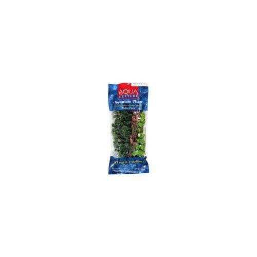 Aquarium Plants V25393