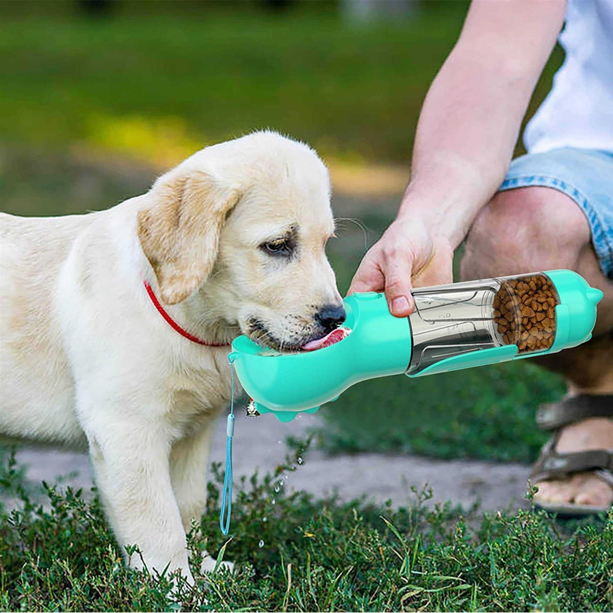 3 in 1 Dog Travel Bottle Set Z29510
