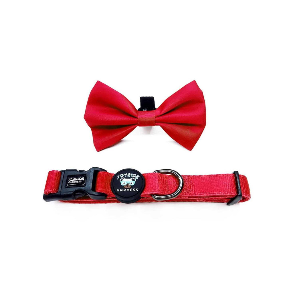 Dog Collar with Removable Bow Tie F34240