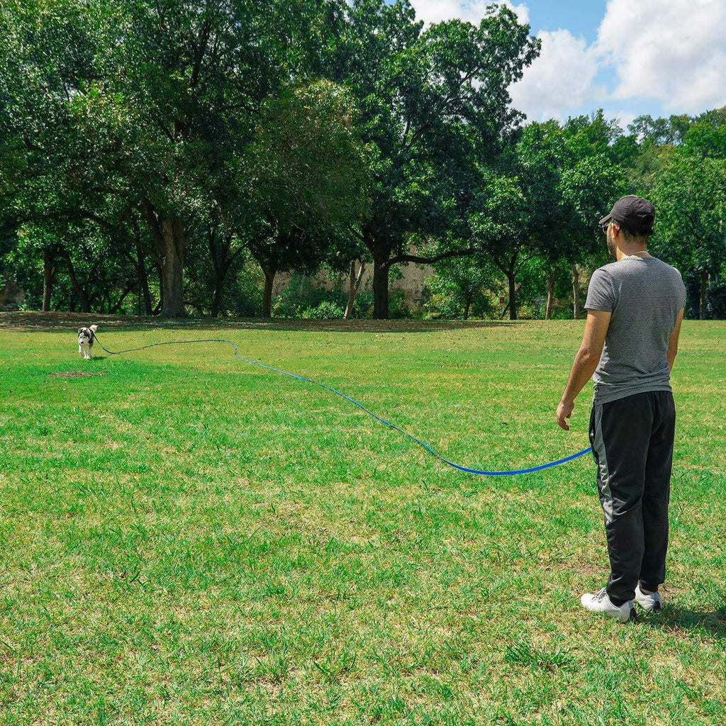Dog Training Lead Leash R55714
