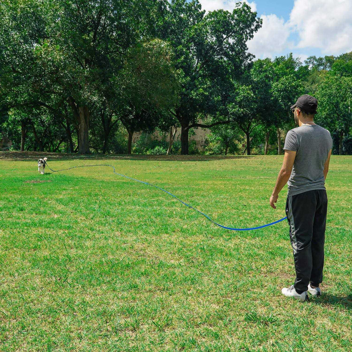 Dog Training Lead Leash R55714