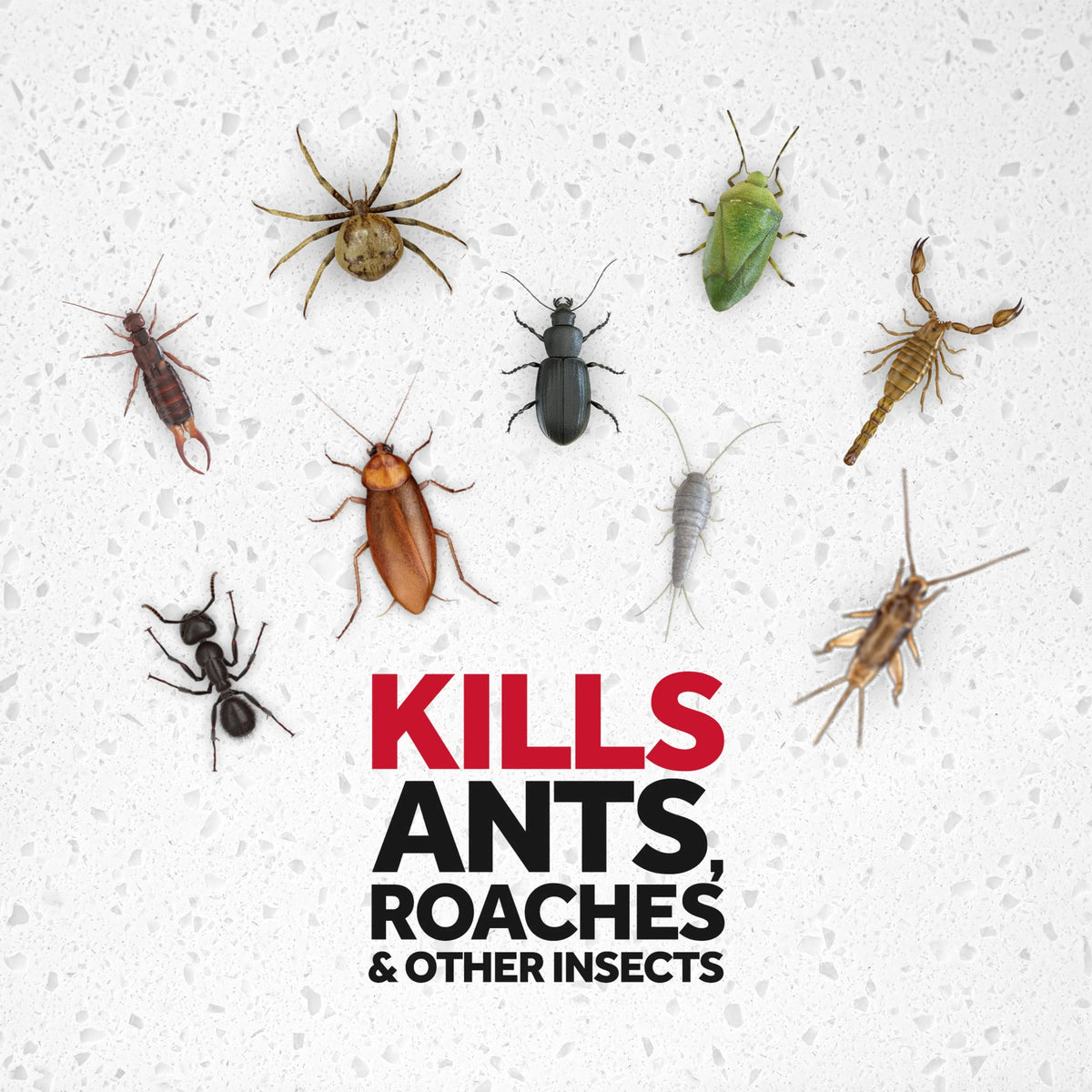 Fragrance-Free Ant & Roach Killer 17.5 fl oz 2 ct V630403