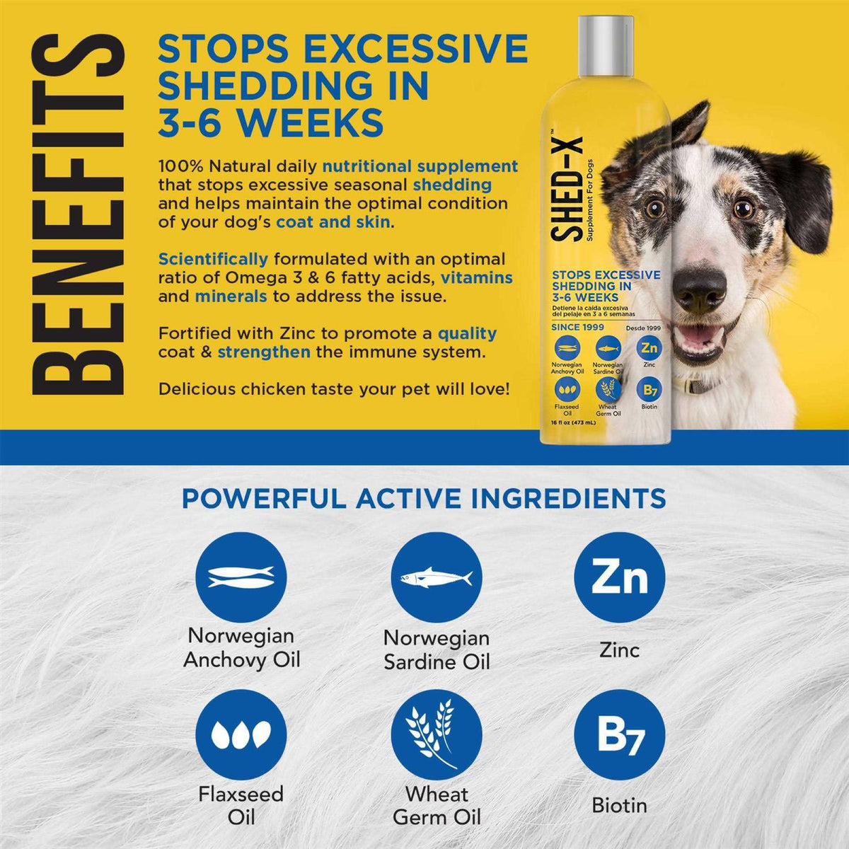 Liquid Supplement for Dogs C843001