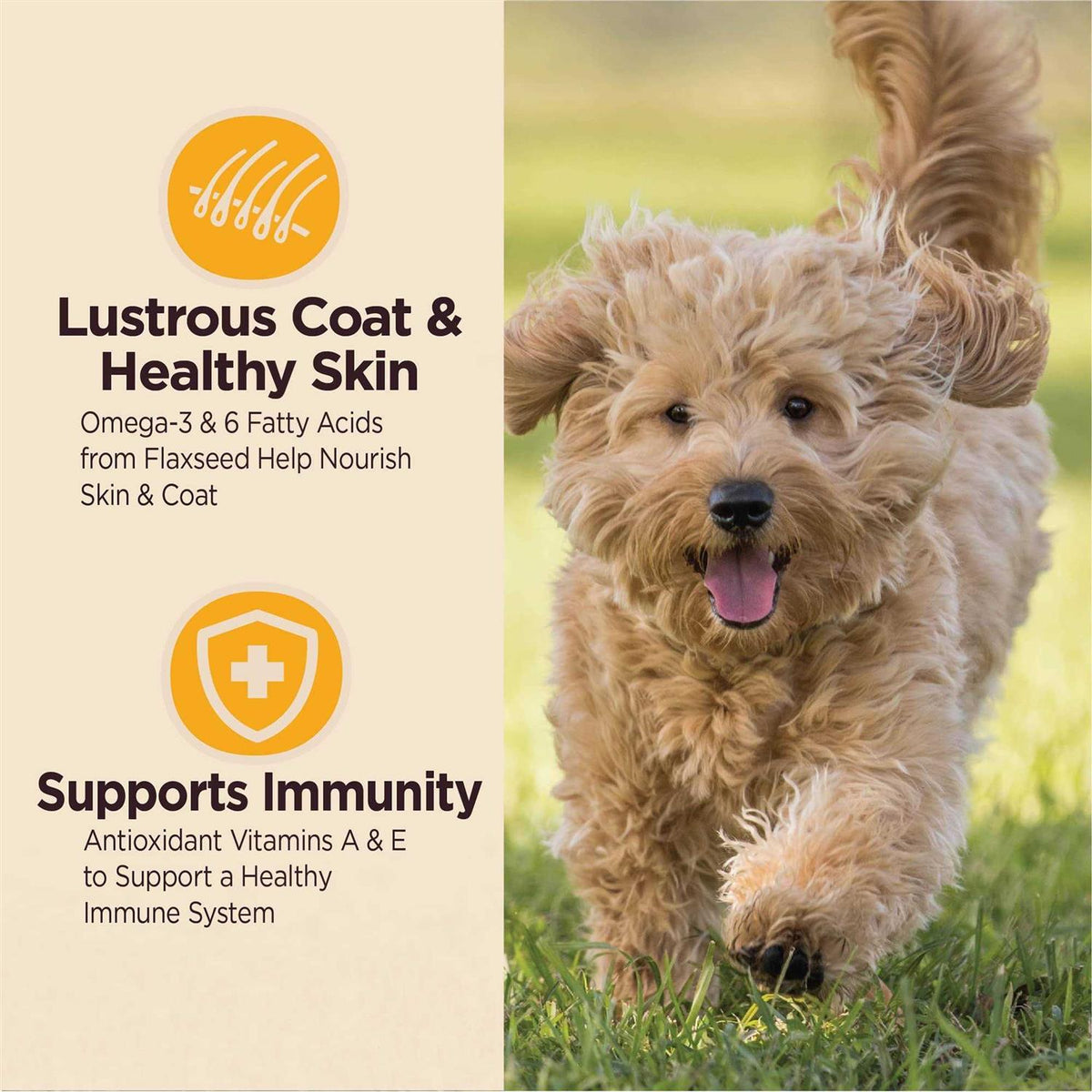 Dry Dog Puppy Food A64804