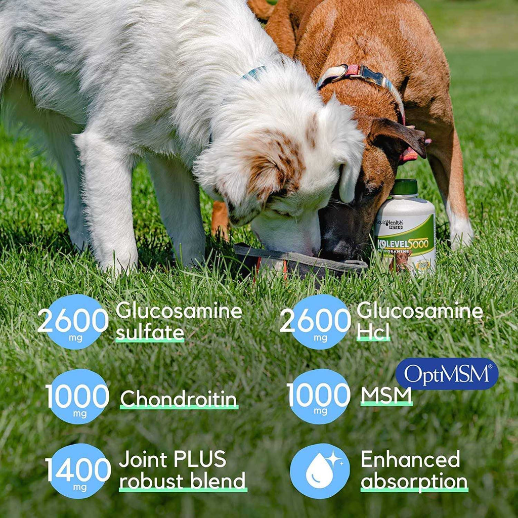 Liquid Health K9 Level 5000 Glucosamine Q1809