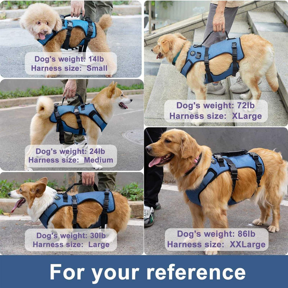Adjustable Breathable Dog Lift Harness D472770