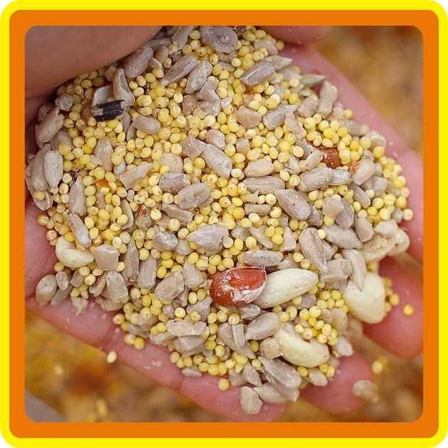 Zero-Waste Bird Food L3686