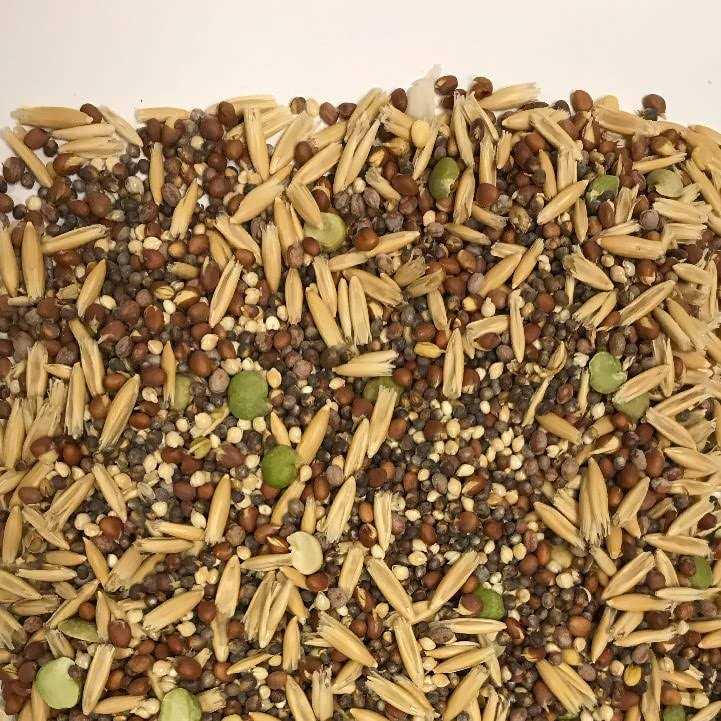 Sprout Blend Bird Treats L7805